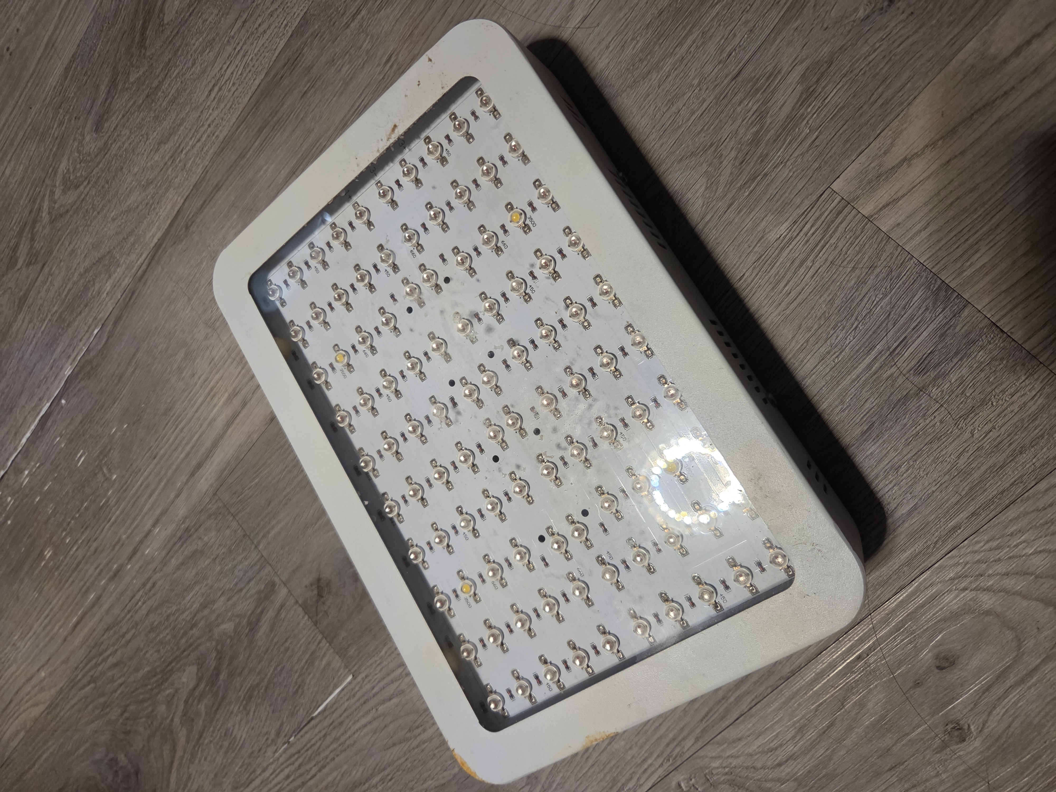 Refegium light